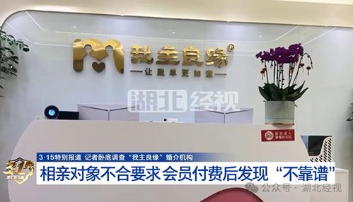 婚介迷局 我主良緣被曝宣傳與服務質(zhì)量割裂，紅娘配合高收費背后成功率疑為虛構(gòu)